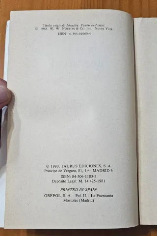 Identidad juventud y crisis