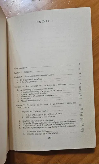 Identidad juventud y crisis