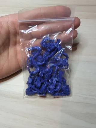 Scouts Marines Espaciales