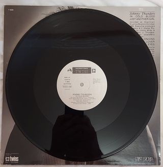 Vinilo LP Johnny Thunders Original Punk Rock