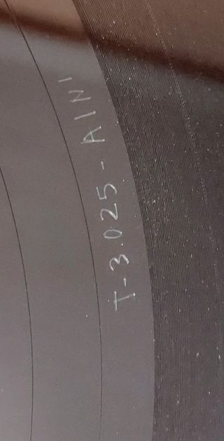 Vinilo LP Johnny Thunders Original Punk Rock