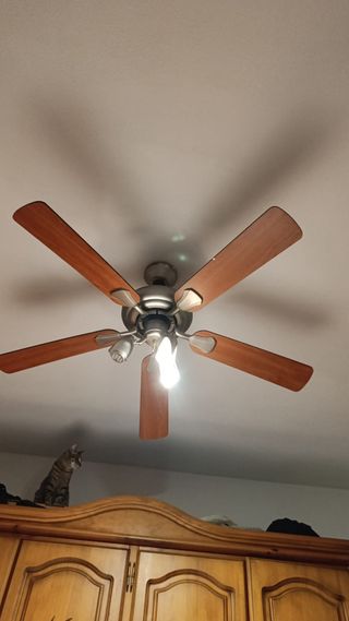 Ventilador de techo madera y metal