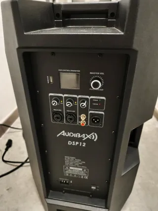 Altavoz Amplificado 700W Negro