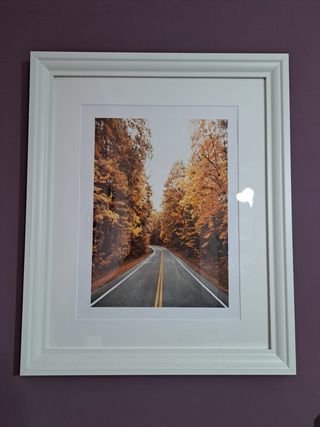 Cuadro decoración de ciervo y atardecer