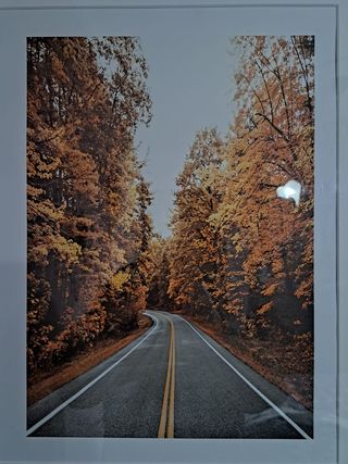 Cuadro decoración de ciervo y atardecer