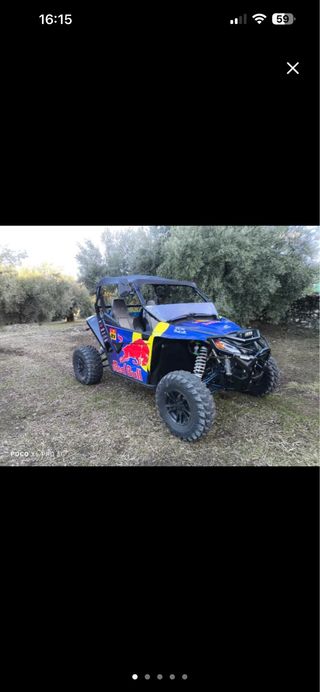 Buggy Arctic Cat Wildcat Sport
