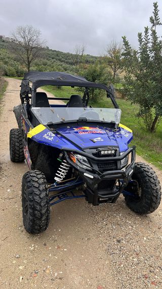 Buggy Arctic Cat Wildcat Sport