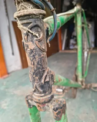 Bicicleta Clásica Verde