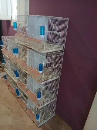 7 gabbie di allevamento marca Pedro in buone condizioni