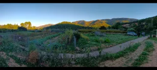 Terreno rústico rugat (Gandía)