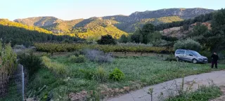 Terreno rústico rugat (Gandía)