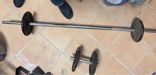 Barra y pesas para gimnasio