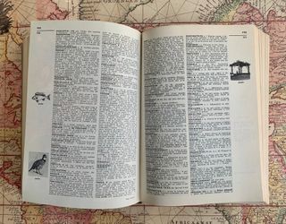 Diccionario Petit Larousse 1966