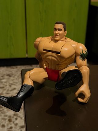 Action Figure WWE