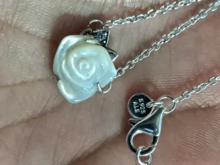 Conjunto Pandora Collar y Pendientes Rosa