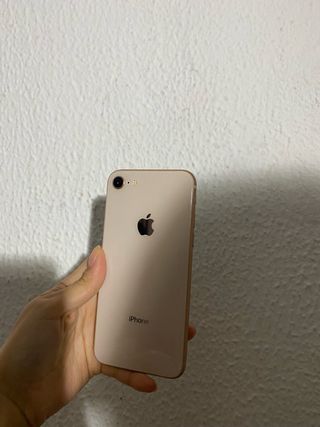 iPhone 8 64GB oro rosa.