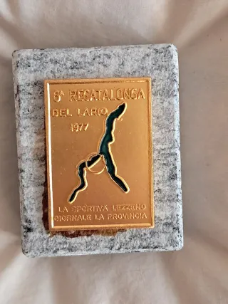 Medaglia Regatalonga Lario 1977