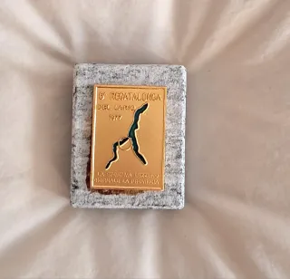 Medaglia Regatalonga Lario 1977