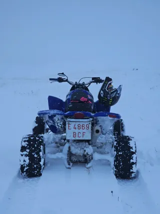 Quad Gas Gas Wild HP 450 FSE