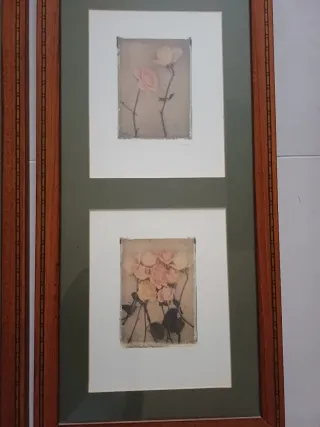 Coppia quadri stampe botaniche