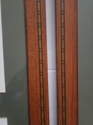 Coppia quadri stampe botaniche