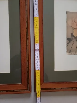 Coppia quadri stampe botaniche