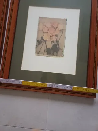 Coppia quadri stampe botaniche