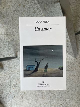 Un amor (Spanish Edition)