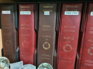 Colección Chapas Cava Variadas