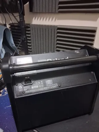 Amplificador Roland PM-100 Monitor Personal