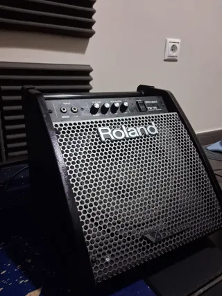 Amplificador Roland PM-100 Monitor Personal