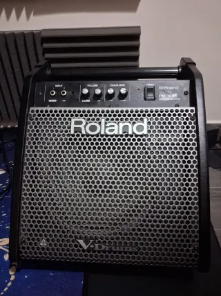 Amplificador Roland PM-100 Monitor Personal