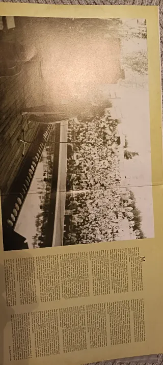 Doble Vinilo Grandes Canciones Mari Trini