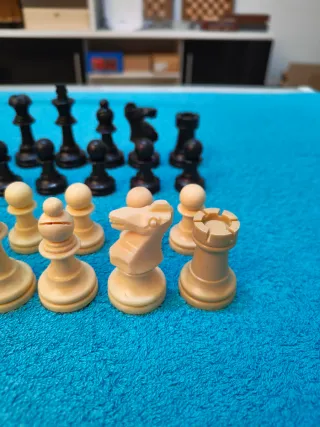 Piezas de ajedrez de plástico Staunton 4.