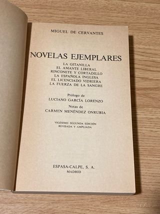 Novelas Ejemplares 1