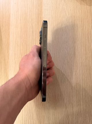 iPhone 13 Pro Max 256GB Gris