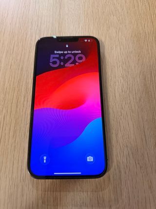 iPhone 13 Pro Max 256GB Gris