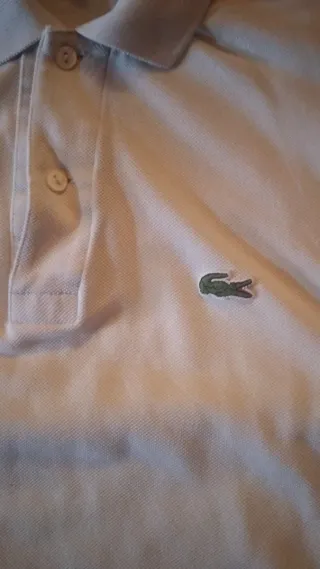 Polo Lacoste Blanco Talla M