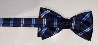 Pajarita de rayas d’etiqueta