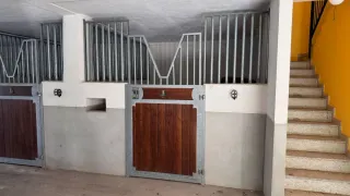 Puertas para boxes de caballos con rejas