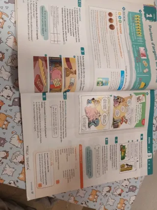 Francés. 3 Secundaria. Adomanía