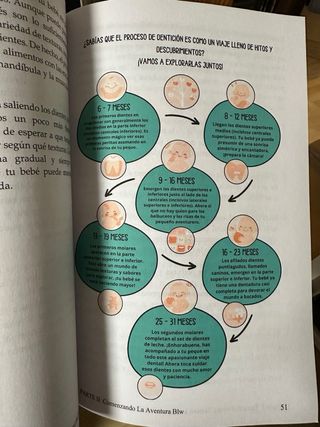 Libro BLW tapa blanda