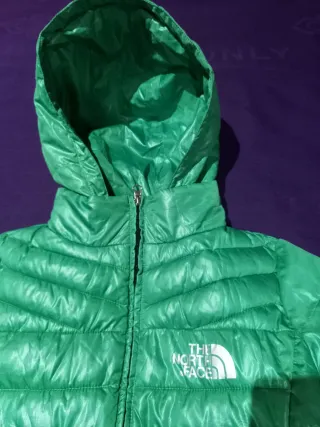 Anorak The North Face verde