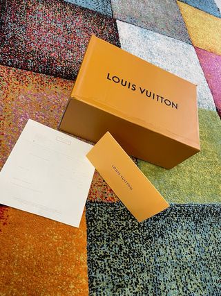 Scarpe Louis Vuitton Skate Nere/Argento