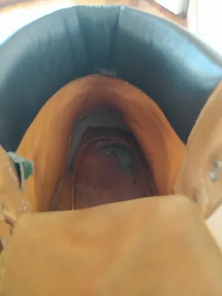 Timberland Stivali in nabuk giallo