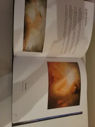 Libro de arte: Fundación Morera y Vallejo