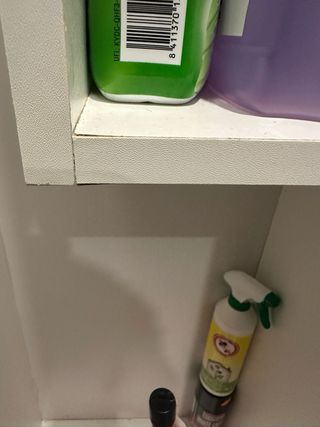 Mueble escobero y útiles de limpieza.