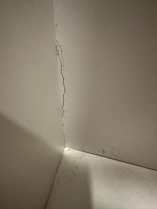 Mueble escobero y útiles de limpieza.