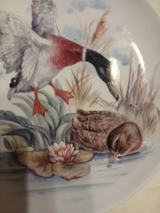 Nr.2 Piatti Tognana Porcellana Collezione