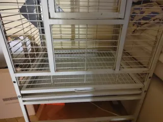 Jaula Voladera para Loros